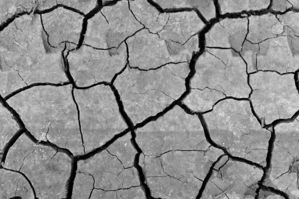 Grey dried and cracked ground earth background. Closeup of dry fissure dark ground. erosion