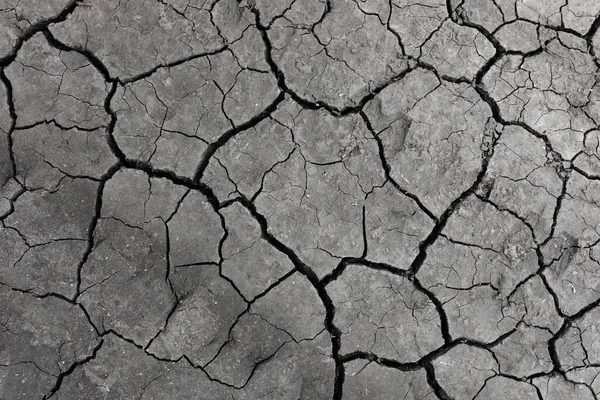 Gri kurumuş ve toprak altyapısı çatlamış. Kuru, karanlık zemine yakın bir yerde. erozyon