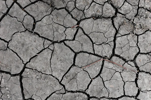 Gri kurumuş ve toprak altyapısı çatlamış. Kuru, karanlık zemine yakın bir yerde. erozyon
