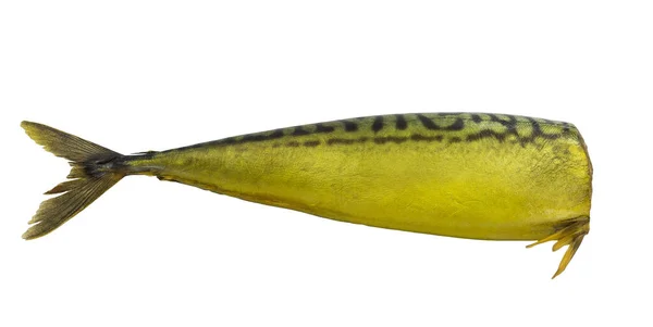 Makrela Wędzona Ryba Białym Tle — Zdjęcie stockowe