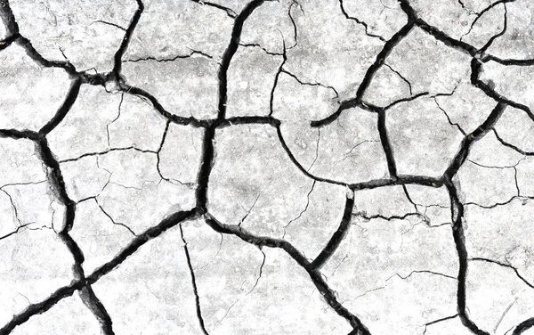Beyaz kurumuş ve çatlamış toprak arka planı. Kuru yarık alanına yakın. erozyon