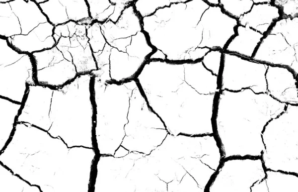 Beyaz kurumuş ve çatlamış toprak arka planı. Kuru yarık alanına yakın. erozyon