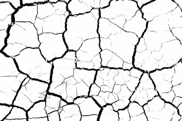 Белый Высохший Потрескавшийся Грунт Крупный План Сухой Трещины Эрозия — стоковое фото