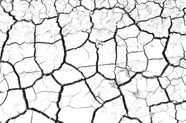 White Dried Cracked Ground Earth Background Closeup Dry Fissure Ground — Stock Photo, Image