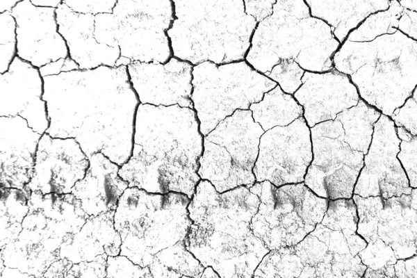 Beyaz kurumuş ve çatlamış toprak arka planı. Kuru yarık alanına yakın. erozyon