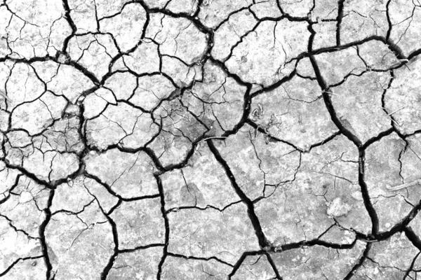 Beyaz kurumuş ve çatlamış toprak arka planı. Kuru yarık alanına yakın. erozyon