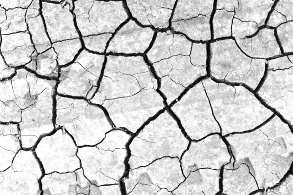Beyaz kurumuş ve çatlamış toprak arka planı. Kuru yarık alanına yakın. erozyon