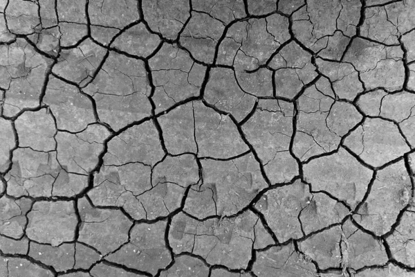 Grey Dried Cracked Ground Earth Background Closeup Dry Fissure Dark Royalty Free Stock Images