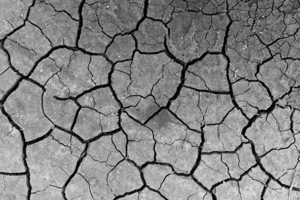 Grey Dried Cracked Ground Earth Background Closeup Dry Fissure Dark Stock Photo