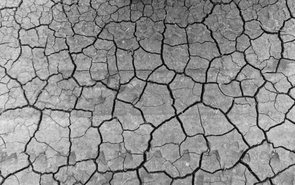 Grey Dried Cracked Ground Earth Background Closeup Dry Fissure Dark Stock Picture