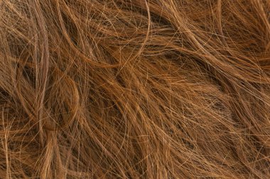 Kahverengi uzun saç dokusu arka planı