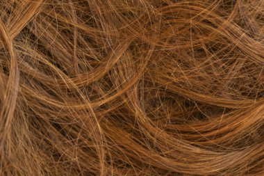 Kahverengi uzun saç dokusu arka planı