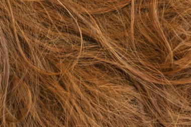 Kahverengi uzun saç dokusu arka planı