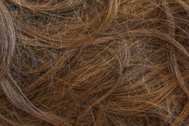 Kahverengi uzun saç dokusu arka planı