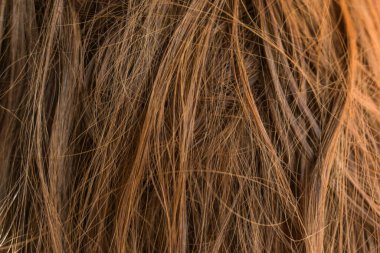 Kahverengi uzun saç dokusu arka planı