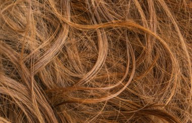 Kahverengi uzun saç dokusu arka planı