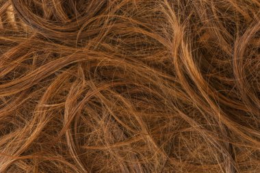 Kahverengi uzun saç dokusu arka planı