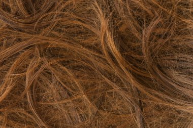 Kahverengi uzun saç dokusu arka planı