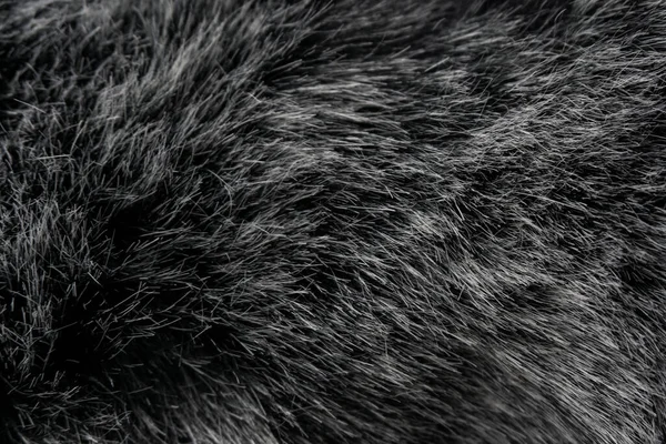 Black White Animal Wool Texture Background Grey Natural Mink Wool — Stock Photo, Image