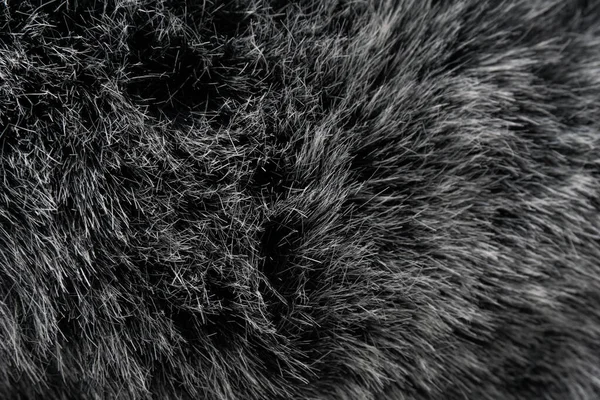 Black and white animal wool texture background, grey natural mink wool, close-up texture of  plush dark fur