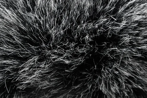 Black White Animal Wool Texture Background Cinza Natural Mink Wool — Fotografia de Stock