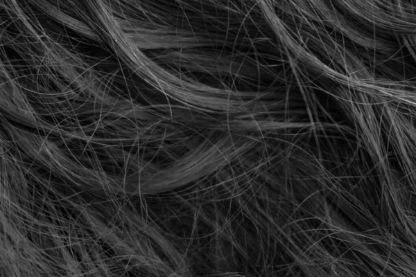 Preto Branco Longo Cabelo Textura Fundo — Fotografia de Stock