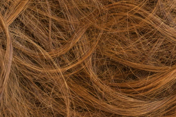 Коричнева Довга Структура Волосся — стокове фото