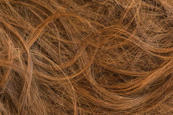 Brązowe Długie Włosy Tekstury Tła — Zdjęcie stockowe