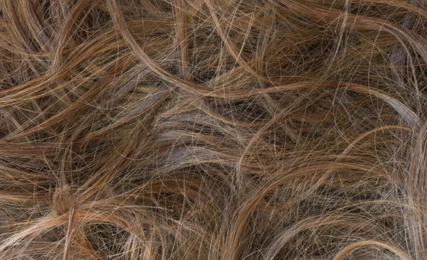 Brun Texture Cheveux Longs Fond — Photo