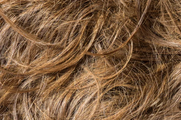 Καστανά Μακριά Μαλλιά Υφή Φόντο — Φωτογραφία Αρχείου
