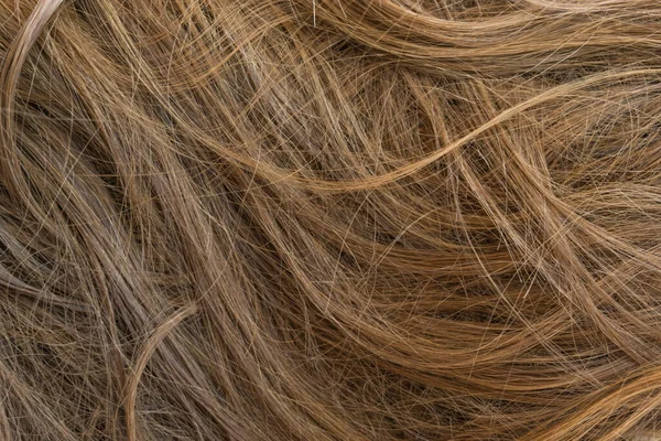 Kahverengi uzun saç dokusu arka planı