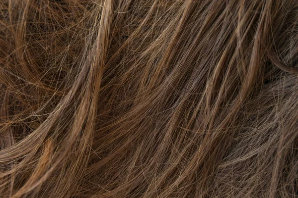 Kahverengi uzun saç dokusu arka planı