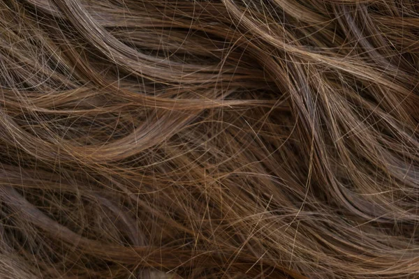 Brown Fundo Textura Cabelo Longo — Fotografia de Stock