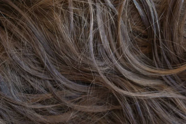 Коричнева Довга Структура Волосся — стокове фото