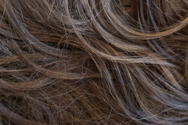 Brown Long Hair Texture Background — Stock Photo, Image