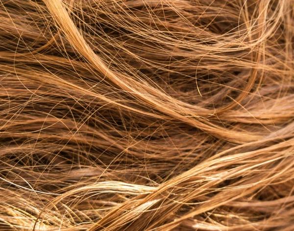 Kahverengi uzun saç dokusu arka planı