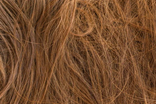 Brown long hair texture background