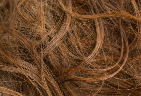 Kahverengi Uzun Saç Dokusu Arka Planı — Stok fotoğraf