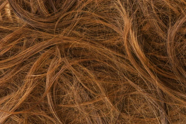 Kahverengi uzun saç dokusu arka planı