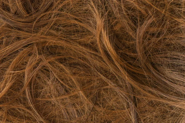 Kahverengi uzun saç dokusu arka planı