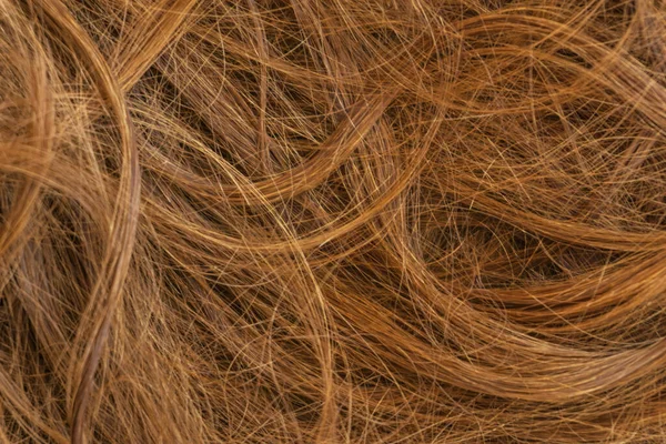 Kahverengi uzun saç dokusu arka planı