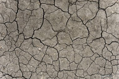 Gri kurumuş ve toprak altyapısı çatlamış. Kuru, karanlık zemine yakın bir yerde. Toprak dokusunda gri çatlak. erozyon