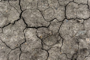 Gri kurumuş ve toprak altyapısı çatlamış. Kuru, karanlık zemine yakın bir yerde. Toprak dokusunda gri çatlak. erozyon
