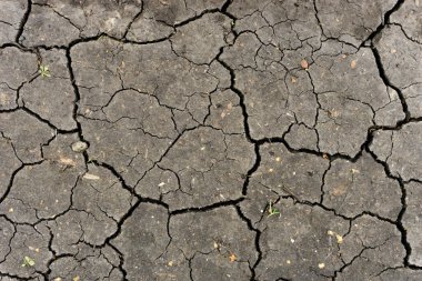 Gri kurumuş ve toprak altyapısı çatlamış. Kuru, karanlık zemine yakın bir yerde. Toprak dokusunda gri çatlak. erozyon