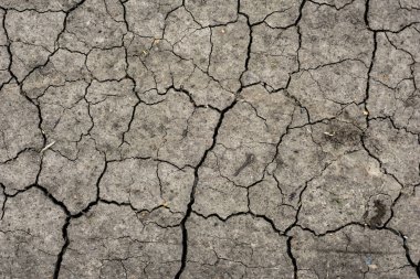 Gri kurumuş ve toprak altyapısı çatlamış. Kuru, karanlık zemine yakın bir yerde. Toprak dokusunda gri çatlak. erozyon