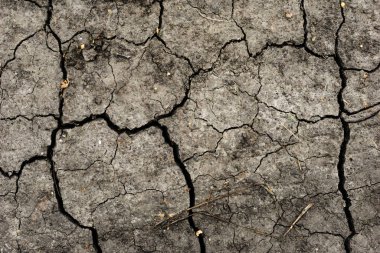 Gri kurumuş ve toprak altyapısı çatlamış. Kuru, karanlık zemine yakın bir yerde. Toprak dokusunda gri çatlak. erozyon