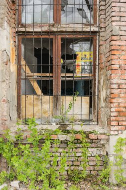 Eski cam ve pencereler savaştan sonra terkedilmiş bir evde.