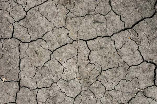 Fondo Tierra Gris Seco Agrietado Primer Plano Fisura Seca Suelo — Foto de Stock