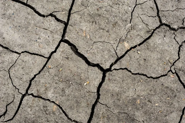 Grey dried and cracked ground earth background. Closeup of dry fissure dark ground. Gray crack on earth texture. erosion