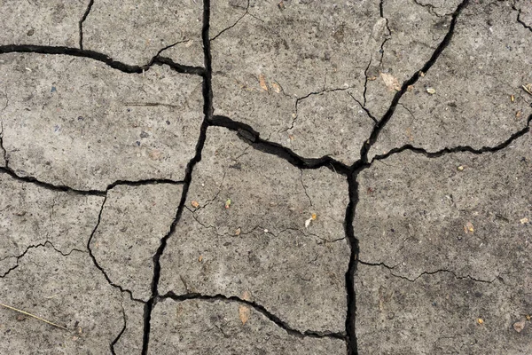 Grijs Gedroogde Gebarsten Aarde Achtergrond Close Van Droge Spleet Donkere — Stockfoto